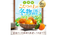 ＜発送月固定定期便＞「こたつの上の冬物語」愛媛限定のまどんなや甘平も届きます!＜H49-69＞全6回【4055972】