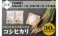 38 令和6年産 会津 湯川村産コシヒカリ 精米(白米)30kg(5kg×2袋)【全3回 定期便 11月・1月・3月発送】