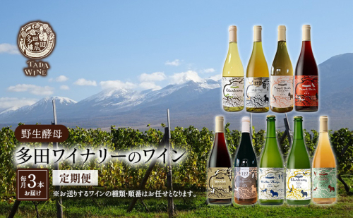 【3ヵ月定期便】野生酵母で醸したワイン 毎月3本お届け (3ヵ月間) 多田ワイナリー 北海道 上富良野町 ワイン 赤ワイン 白ワイン 微発泡ワイン オレンジワイン 1471519 - 北海道上富良野町