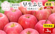 りんご 【 10月発送 】( 糖度12度以上 ) 贈答用 早生ふじ ( 弘前ふじ ) 約 3kg 【 弘前市産 青森りんご 】