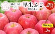 りんご [ 10月発送 ]( 糖度12度以上 ) 訳あり 早生ふじ ( 弘前ふじ ) 約 3kg [ 弘前市産 青森りんご ]