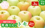 りんご 【 10月発送 】( 糖度12度以上 ) 訳あり トキ 約 3kg 【 弘前市産 青森りんご 】