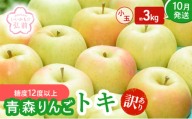 りんご [ 10月発送 ]( 糖度12度以上 ) 訳あり トキ 小玉りんご 約 3kg [ 弘前市産 青森りんご ]