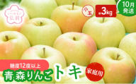 りんご 【 10月発送 】( 糖度12度以上 ) 家庭用 トキ 小玉りんご 約 3kg 【 弘前市産 青森りんご 】