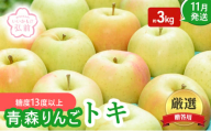 りんご 【 11月発送 】( 糖度13度以上 ) 贈答用 トキ 約 3kg 【 弘前市産 青森りんご 】