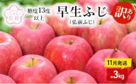 りんご 【 11月発送 】( 糖度13度以上 ) 訳あり 早生ふじ ( 弘前ふじ ) 約 3kg 【 弘前市産 青森りんご 】