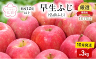 りんご [ 10月発送 ]( 糖度12度以上 ) 1番手限定 贈答用 早生ふじ ( 弘前ふじ ) 約 3kg [ 弘前市産 青森りんご ]