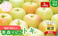 りんご 【 10月発送 】( 糖度12度以上 ) 1番手限定 贈答用 トキ 約 3kg 【 弘前市産 青森りんご 】