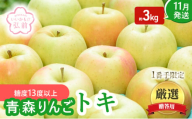 りんご 【 11月発送 】( 糖度13度以上 ) 1番手限定 贈答用 トキ 約 3kg 【 弘前市産 青森りんご 】