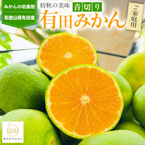 【先行予約】【初秋の美味】有田育ちのご家庭用訳あり濃厚青切り有田みかん 約1kg ※2025年9月中旬～10月中旬頃に順次発送予定 ※沖縄・離島への配送は不可 1471914 - 和歌山県美浜町