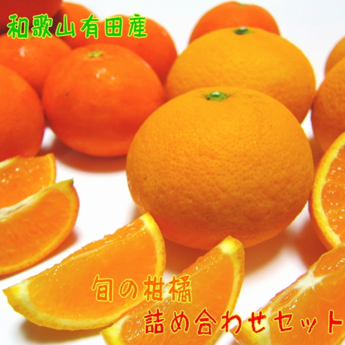 【先行予約】旬の柑橘詰め合わせセット（ご家庭用）約3kg ｜ フルーツ ふるーつ 果物 くだもの 詰め合わせ オレンジ みかん レモン 国産 産地直送 美浜町 ※2026年1月中旬～4月下旬頃に順次発送予定 ※北海道・沖縄・離島への配送不可 1471942 - 和歌山県美浜町