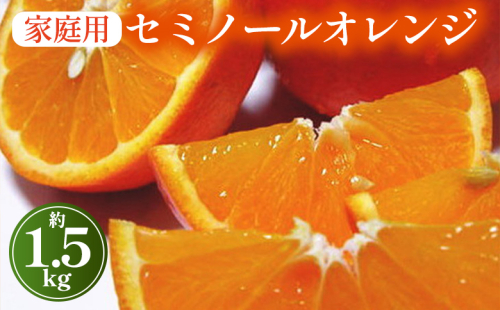 【先行予約】【春の美味】【農家直送】爽快カンキツ　セミノールオレンジ（ご家庭用）1.5kg ｜ 柑橘 フルーツ 果物 くだもの 食品 人気 おすすめ 選べる 国産 美浜町 1471943 - 和歌山県美浜町