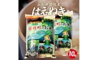 1058R06M10c　遊佐産はえぬき10kg（令和6年産米）10月下旬