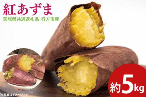 【先行予約】紅あずま 約5kg（茨城県共通返礼品：行方市産）※2024年10月上旬～2025年3月下旬頃に順次発送予定（CD084） 1472083 - 茨城県大子町