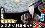 ＜瞬間凍結＞生簀直送 とらふぐ 刺身 セット (2-3人前) 魚 鮮魚 ふぐ 河豚 刺し身 刺身 さしみ ポン酢 もみじおろし 冷凍 佐伯 養殖 大分県 佐伯市【EA29】【(株)トーワ】