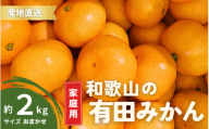 【10月発送】  ご家庭用 有田みかん 和歌山 S～Lサイズ 大きさお任せ 2kg  / みかん フルーツ 果物 くだもの 有田みかん 蜜柑 柑橘【ktn005-10】