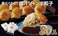 V844 具がたっぷり!肉汁ジャンボ餃子(30入)