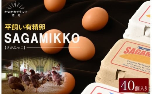 《かながわブランド認定》平飼い有精卵さがみっこ 10個入り×4パック 計40個 | 平飼い ケージフリー 卵 有精卵 鶏卵 玉子 たまご 生卵 国産 濃厚 コク 旨味 ※離島への配送不可 1472520 - 神奈川県相模原市