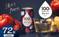 [定期便3回]100%カンジューハイりんご 340ml × 72本 | ふるさと納税 缶ジューハイ 缶酎ハイ りんご3% カロリー低い 喉越し 爽快 爽やか 洋酒 人気 酎ハイ サワー パーティー 送料無料 下野 栃木