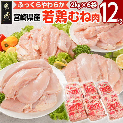 宮崎県産若鶏 むね肉(12kg)_AC-G301 1472914 - 宮崎県都城市