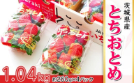002茨城県産いちご「とちおとめ」1.04kg（4パック）【2026年1月中旬頃～3月下旬頃発送予定】
