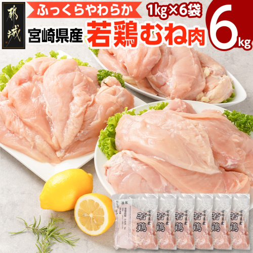 宮崎県産若鶏 むね肉(6kg)_11-G302 1473057 - 宮崎県都城市