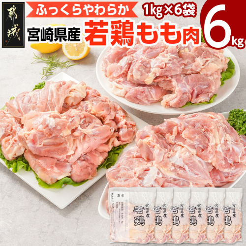 宮崎県産若鶏 もも肉(6kg)_16-G301 1473125 - 宮崎県都城市