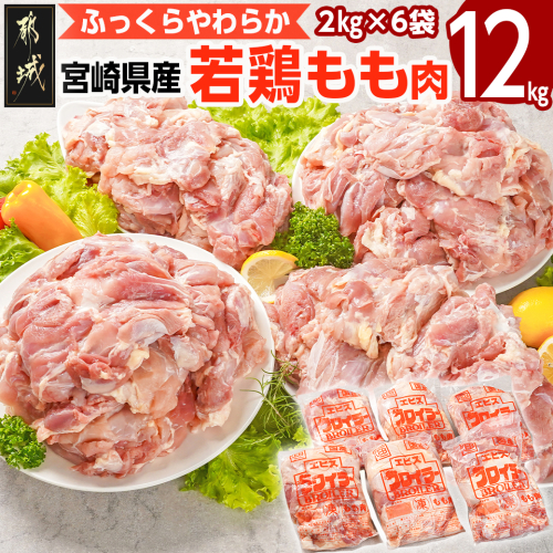 宮崎県産若鶏 もも肉(12kg)_29-G301 1473128 - 宮崎県都城市