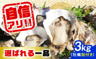 【11月29日（金）着】特選 牡蠣三昧！【生牡蠣】広島牡蠣　殻付き3kg 牡蠣 かき カキ 生牡蠣 殻付き 広島 江田島市/株式会社門林水産[XAO009]