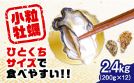 【1月22日（水）着】特選 牡蠣三昧！【生牡蠣】レンジでチンするだけ簡単！江田島の小粒牡蠣『がきんちょ』 200g×12パック 牡蠣 殻付き 海鮮 かき 広島 江田島市/株式会社門林水産[XAO013]