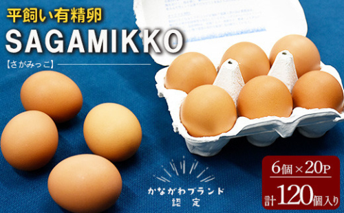 《かながわブランド認定》平飼い有精卵さがみっこ 6個入り×20P 計120個 | 平飼い ケージフリー 卵 有精卵 鶏卵 玉子 たまご 生卵 国産 濃厚 コク 旨味 ※離島への配送不可 1475099 - 神奈川県相模原市