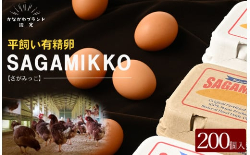 《かながわブランド認定》平飼い有精卵さがみっこ 10個入り×20パック 計200個 | 平飼い ケージフリー 卵 有精卵 鶏卵 玉子 たまご 生卵 国産 濃厚 コク 旨味 ※離島への配送不可 1475103 - 神奈川県相模原市