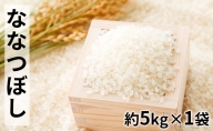 ファームアグリエイトのななつぼし　約5kg×1袋