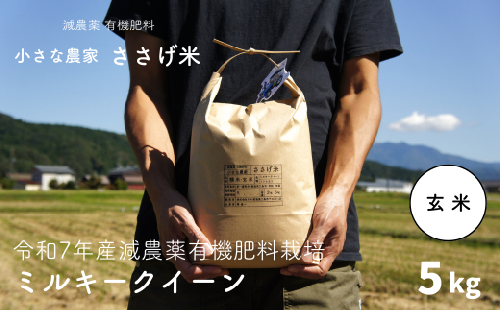 減農薬有機肥料栽培 新潟県産 ミルキークイーン 玄米 5kg 令和7年産米 [小さな農家ささげ米]【015S141】 1475483 - 新潟県三条市