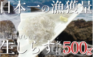 生しらす500g 釜揚げしらす500g セット(しらす日本一の島 篠島産)