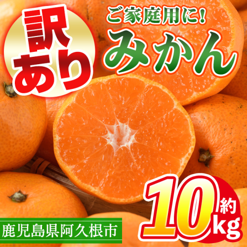 ＜先行予約受付中！2025年10月中旬以降順次発送予定＞訳あり！鹿児島県産みかん(計約10kg) 大容量 傷あり 不揃い 国産 柑橘 果物 くだもの フルーツ 旬 期間限定 数量限定 訳アリ 規格外 ご家庭用 ご自宅用 ミカン ノーワックス【三笠農業生産】a-14-67-z 147572 - 鹿児島県阿久根市
