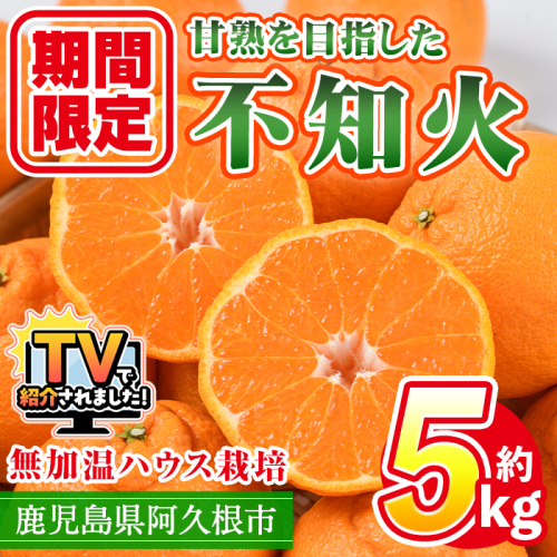 数量限定！鹿児島県産無加温ハウス栽培 不知火(計約5kg：大将季) 柑橘 果物 くだもの フルーツ 旬 しらぬい シラヌイ ハウス栽培 無加温 数量限定 期間限定【三笠農業生産】akn051-12 147575 - 鹿児島県阿久根市