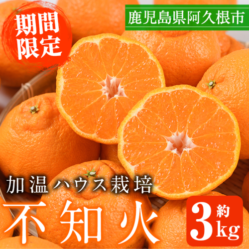 <先行予約受付中!2025年12月上旬以降順次発送予定>数量限定!鹿児島県産加温ハウス栽培の不知火「大将季」(計約3kg) 旬 フルーツ 果物 柑橘 みかん【三笠農業生産】akn051-07 147576 - 鹿児島県阿久根市