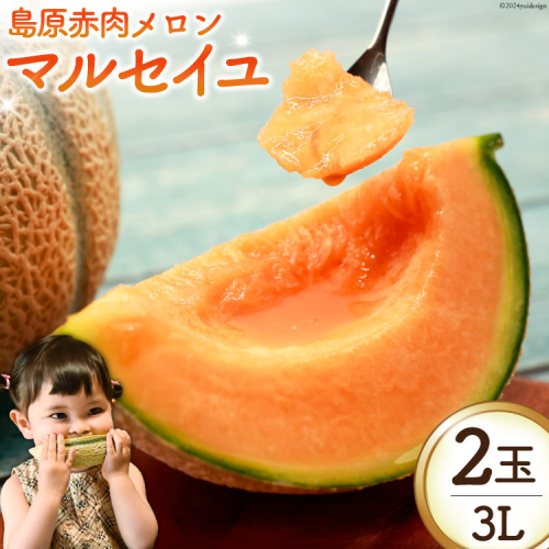 BI112 【令和8年度出荷分】 島原赤肉メロン「マルセイユ」（3L×2玉） [ メロン めろん マルセイユ 赤肉 フルーツ 果物 小原商店 長崎県 島原市 ] 1475949 - 長崎県島原市