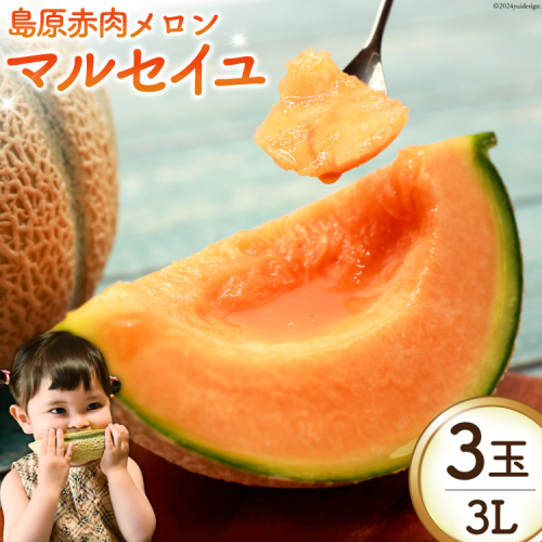 BI113 【令和8年度出荷分】 島原赤肉メロン「マルセイユ」（3L×3玉） [ メロン めろん マルセイユ 赤肉 フルーツ 果物 小原商店 長崎県 島原市 ] 1475950 - 長崎県島原市