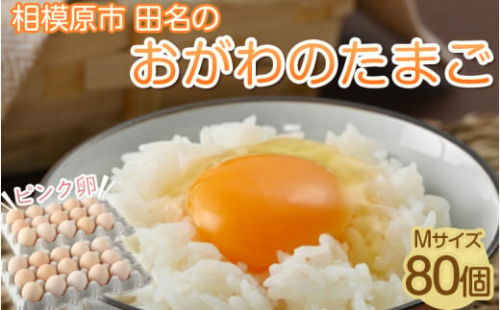 相模原市田名のおがわのたまご　ピンク卵（Mサイズ）75個＋割れ補償5個入り（計80個）|卵 鶏卵 玉子 たまご 生卵 国産 濃厚 コク 旨味 旨み 1476146 - 神奈川県相模原市