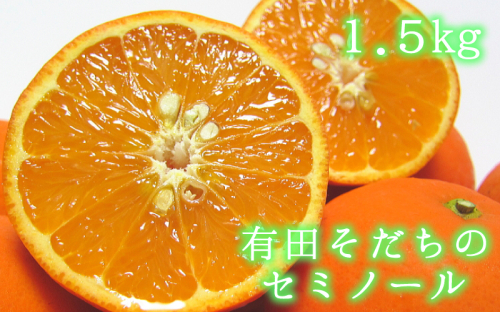 有田育ちの爽快セミノールオレンジ(ご家庭用)　約1.5kg　※2025年4月より順次発送予定【ard210】 1476264 - 和歌山県北山村