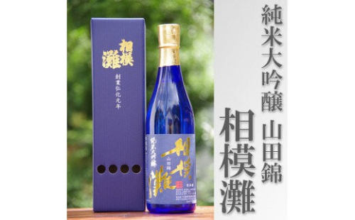 日本酒 相模灘 純米大吟醸　720ml ◆ 1476338 - 神奈川県相模原市