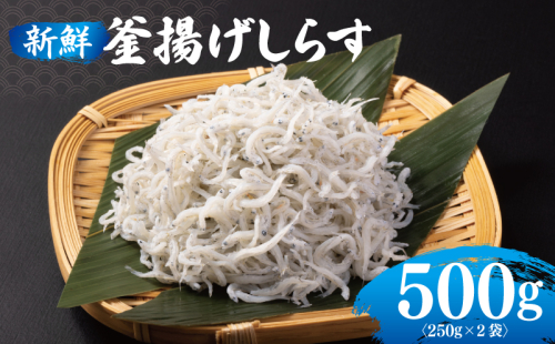 新鮮 釜揚げしらす 合計 500g 小分け 250g×2P 099H3022 1476409 - 大阪府泉佐野市