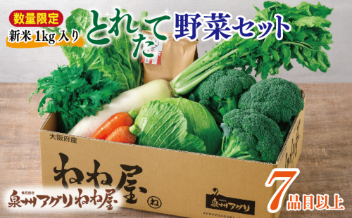 【数量限定】【新米1kg入り】ねね屋の採れたて野菜セット 7品目以上 詰め合わせ 期間限定 099H3018 1476416 - 大阪府泉佐野市