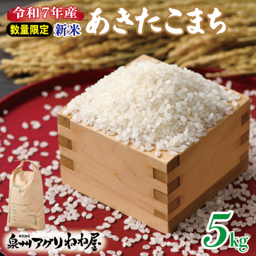 【数量限定】令和7年産 ねね屋の新米 『あきたこまち』 5kg 白米 お米 099H3929 1476417 - 大阪府泉佐野市