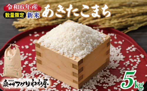 【数量限定】令和6年産 ねね屋の新米 『あきたこまち』 5kg 泉佐野産 白米 お米 099H3019 1476417 - 大阪府泉佐野市