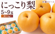 佐藤ファーム にっこり梨  5玉から9玉 (約5kg) 2024年10月中旬から10月下旬 出荷予定