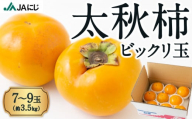 JAにじ 太秋柿ビックリ玉 7から9玉 (約3.5kg) 2024年10月7日から10月31日 出荷予定