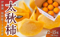 伊藤園 太秋柿 12玉から15玉 (約5kg) 2024年10月中旬から10月下旬 出荷予定